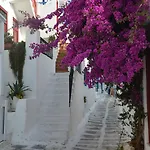 White And Grey Chora