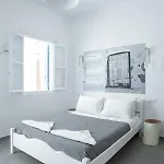 White And Grey Chora