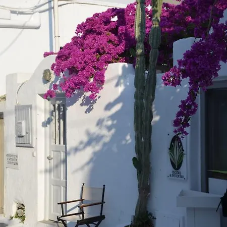 Appartement White And Grey Chora