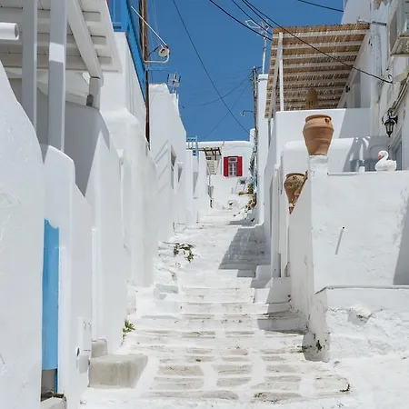 White And Grey Chora